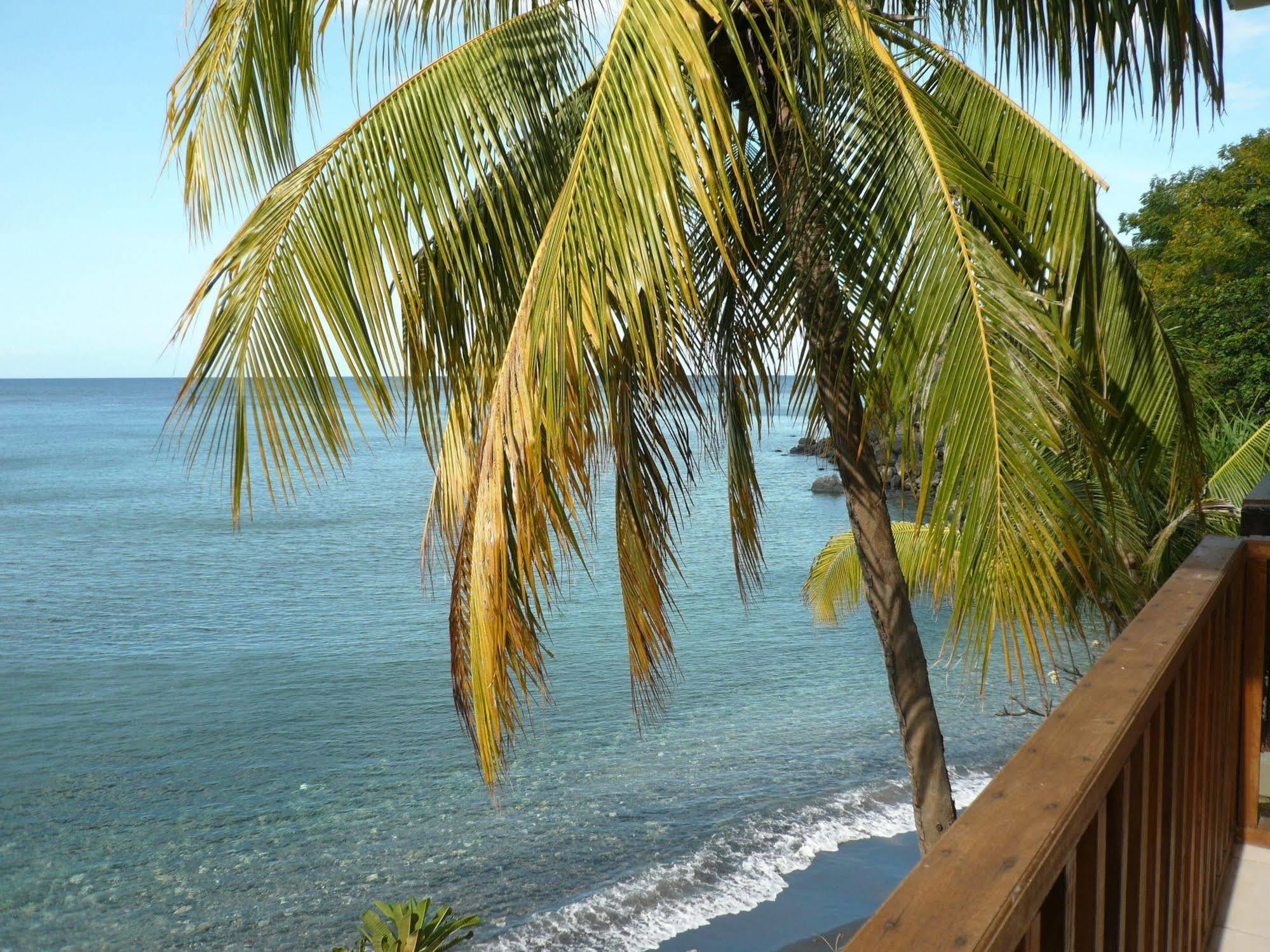 Vienna Beach Resort Amed Kültér fotó